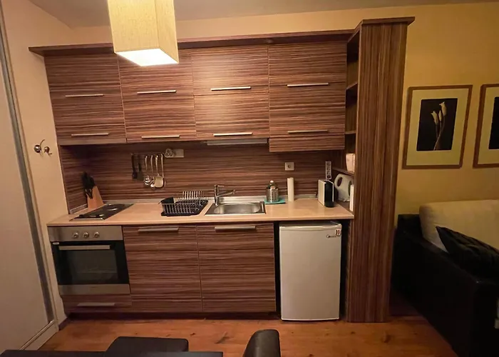 Lorena's Bansko,near Gondola Apartament